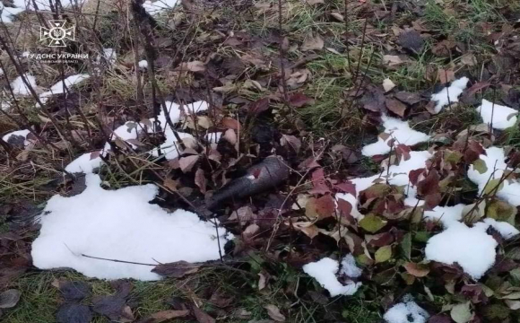 На Львівщині у полі люди знайшли мінометні снаряди