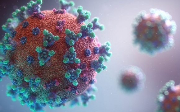 Цифра дня: порахували кількість усіх штамів коронавірусу у світі