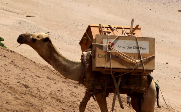 Бібліотека на верблюдах допомагає дітям на дистанційному навчанні. ФОТО