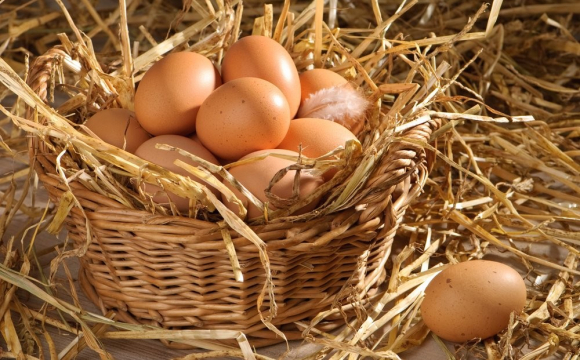 В Україні будуть по-новому продавати яйця: вимоги
