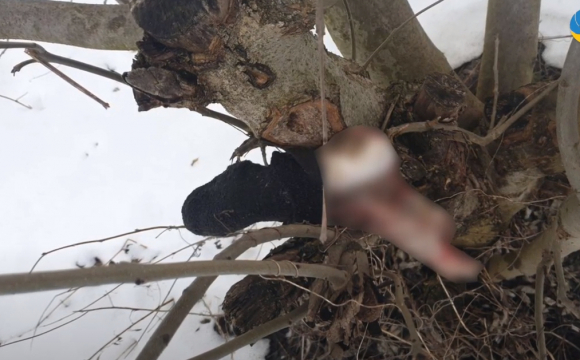На Львівщині собаки притягнули на подвір'я людську ногу. ВІДЕО