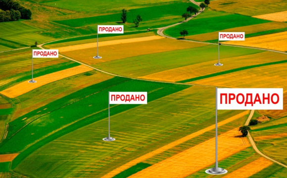 Ринок землі: скільки коштуватиме українська земля?