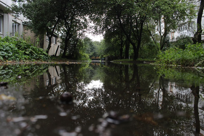 Затоплені двори і опале листя: наслідки грози у Луцьку. ФОТО