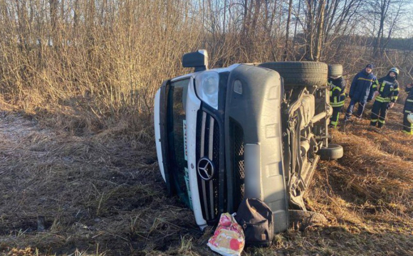 На Волині рейсовий автобус злетів з дороги: є постраждала