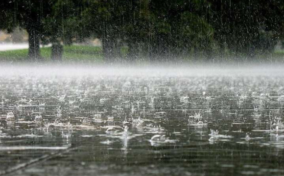 Дощі та вітер: прогноз погоди на Волині 23 червня