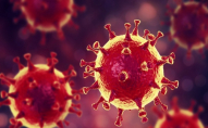 Вчені виявили новий штам кронавірусу: смертність до 82%