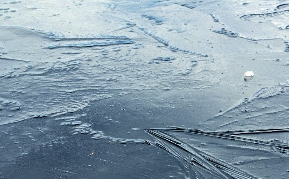 8-річна дитина провалилася під лід: врятувати хлопчика не вдалося. ФОТО