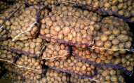 В Україні зросте ціна на картоплю: відомі причини