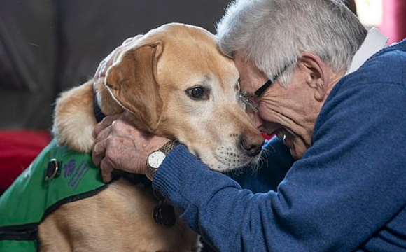 Собака врятував життя 65-річному господарю