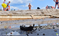 Мертві щури та зруйновані пляжі: наслідки аномальної зливи у Одесі. ФОТО