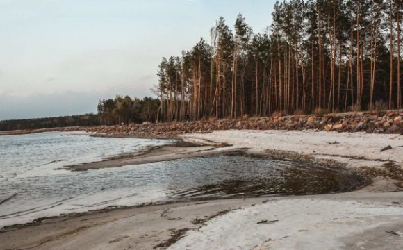 На березі Київського водосховища знайшли тіло російського пілота. ФОТО