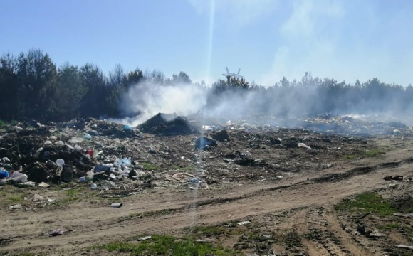 Через підпал сміттєзвалища на Волині згоріло п'ять гектарів самосійного лісу. ФОТО