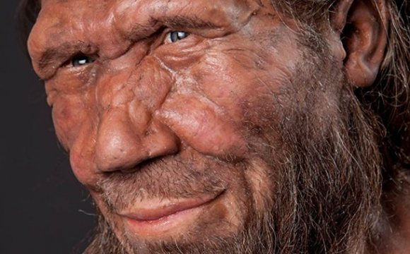 Вчені заявили, що неандертальці могли зимувати, як ведмеді