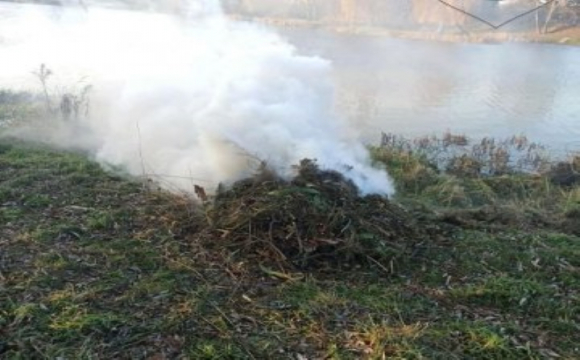Оштрафували жінку, яка палила траву на Теремнівських ставках