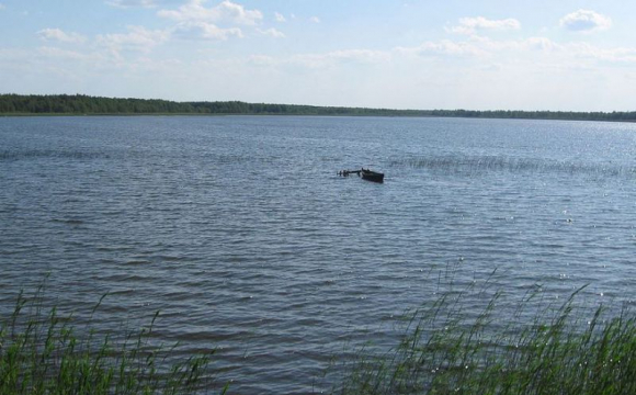 Цвинтар для тварин: на озері у Нововолинську масово гине риба. ФОТО