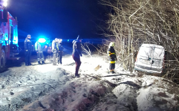 На заході України авто влетіло в дерево: водій загинув. ФОТО