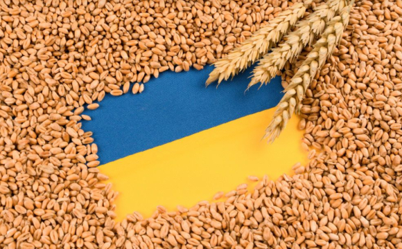 У Польщі блокують ввезення українського зерна натомість пропускають зерно з рф у великих обсягах