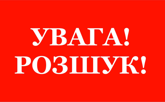 У Волинській області шукають безвісти зниклу жінку з возиком. ФОТО