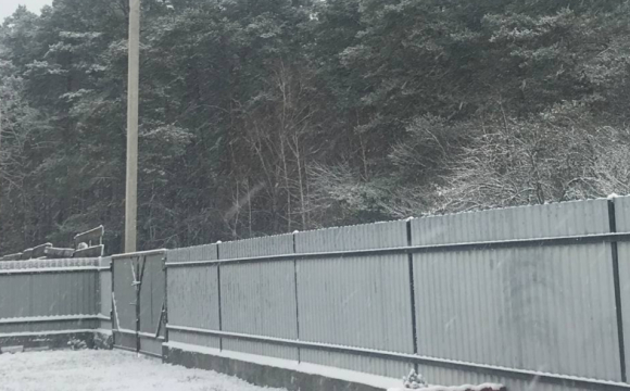 У Волинській області випав перший сніг