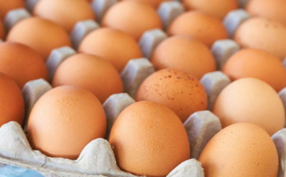 Що робиться із цінами на яйця перед Великоднем