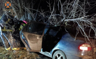 Смертельна ДТП: водій авто з’їхав у кювет і врізався в дерево