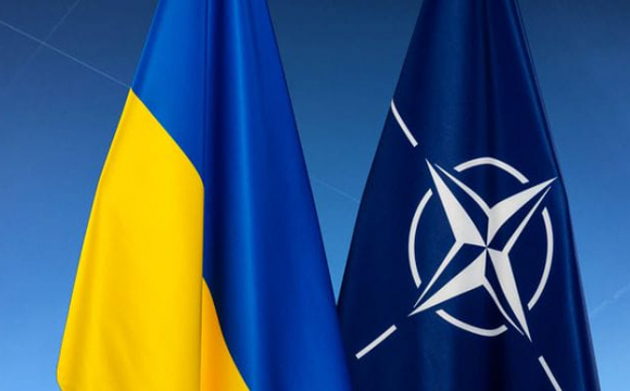 Одразу дев'ять країн підтримали вступ України в НАТО