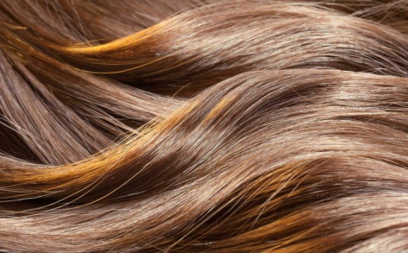Які продукти корисні для краси і здоров’я волосся