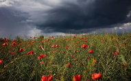 По Україні оголошено штормове попередження: які області під загрозою
