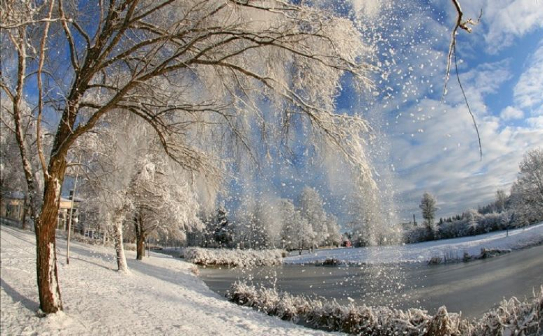 Январь году начало зимы. Конец февраля природа. Конец зимы. Красивый февраль. Февраль зимой.