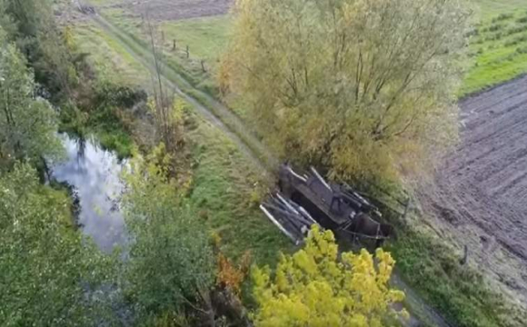 Як на Волині вирубують ліси. ВІДЕО