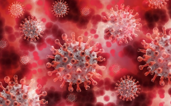 Вчені нарахували 18 мутацій коронавірусу в організмі однієї пацієнтки