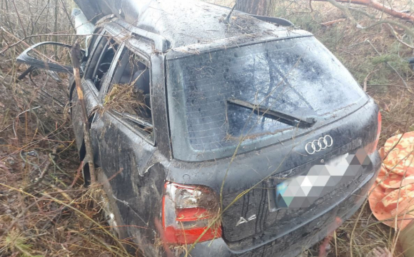 Біля села водій авто в'їхав у дерево та загинув