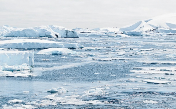 Неймовірна спека: в Антарктиді тануть льодовики