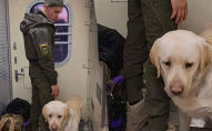 Військового ЗСУ не впустили у вагон через собаку