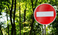 Жителям області, яка межує з Білоруссю хочуть заборонити ходити в ліс