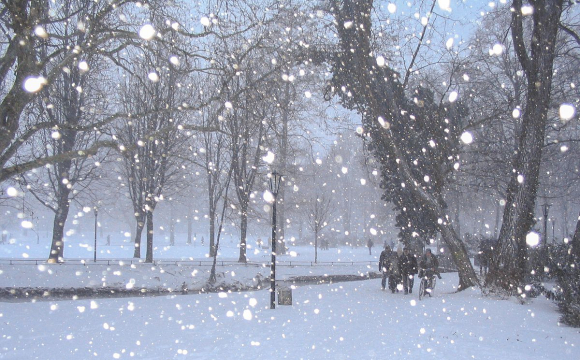 Стало відомо, де в Україні вже в листопаді випаде сніг