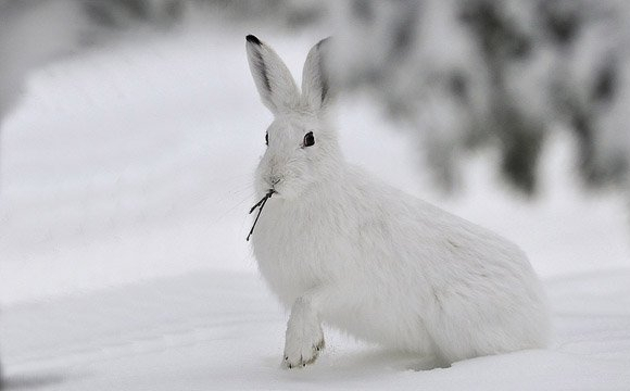 Гороскоп на 12 лютого для всіх знаків Зодіаку: стануться раптові зміни у житті