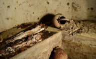 У Польщі знайшли могилу жінки-вампіра