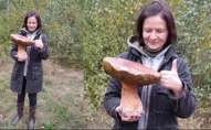 Білий рекордсмен: на Рівненщині жінка знайшла двокілограмового гриба