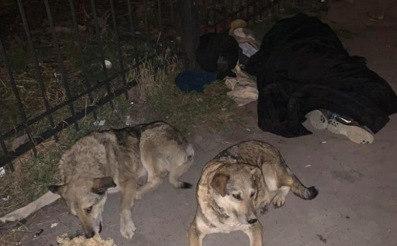 У всіх на очах: у Тернополі посеред вулиці помирала жінка