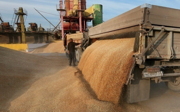 Україна на другому місці в світі за експортом зерна
