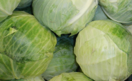 Від 5 гривень за кілограм: в Україні подешевшав популярний овоч