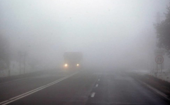 Як краще керувати авто під час сильного туману: корисні поради 
