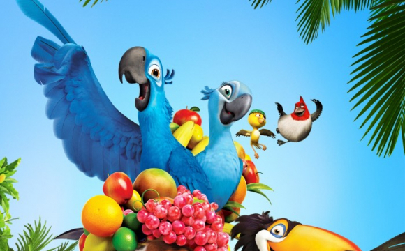 Майже Ріо: у Луцькому парку літають папуги. ВІДЕО