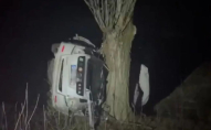 Смертельна ДТП на Волині: водій злетів з дороги та в'їхав у дерево