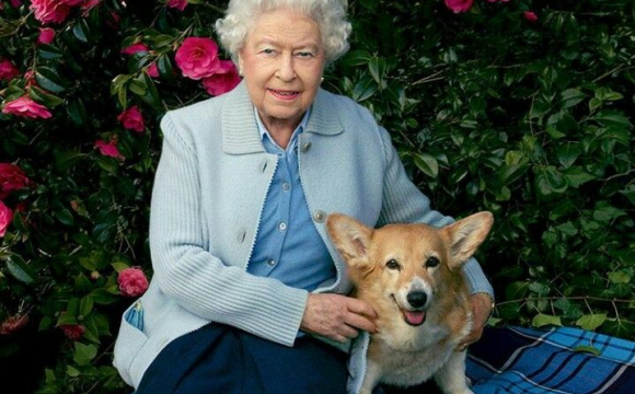 Королева Єлизавета II випустить парфуми для собак