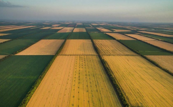 Ринок землі в Україні запрацює не раніше 2022 року?