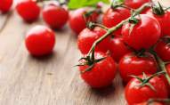 Чому в Україні рекордно знизилася ціна на помідори 