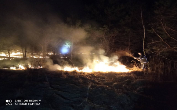На Волині за добу ліквідували дві пожежі сухої трави