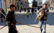 КП «Ласка» отримає 500 000 грн на відлов бродячих собак